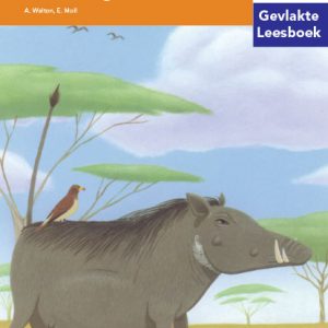 Via Afrika Intermediêre Fase Gevlakte Leesboek 32: 'n Op en wakker vlakvarkgesin