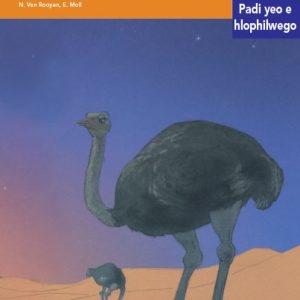 Via Afrika Sepedi Home Language Intermediate Phase Graded Reader 17 Dimpšhe tša mafolofolo tša mebotwana ya leganata