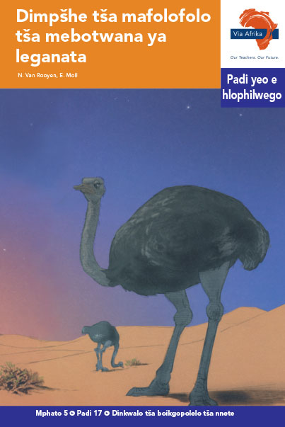 Via Afrika Sepedi Home Language Intermediate Phase Graded Reader 17 Dimpšhe tša mafolofolo tša mebotwana ya leganata