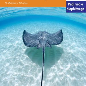 Via Afrika Sepedi Home Language Intermediate Phase Graded Reader 21 Dinonyana tša Lewatle le tša Lefaufaung