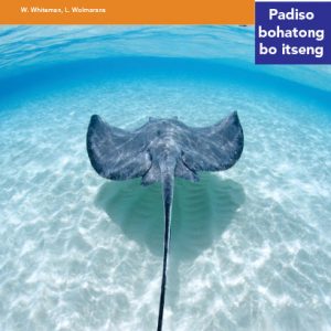 Via Afrika Sesotho Home Language Intermediate Phase Graded Reader 21 Diphoofolo tsa Lewatleng le tsa Moeeng