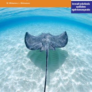 Via Afrika isiXhosa Home Language Intermediate Phase Graded Reader 21 Izilwanyana Zaselwandle Nasemoyeni