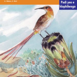 Via Afrika Sepedi Home Language Intermediate Phase Graded Reader 22 Diphinkhwišene di kotsing e kgolo