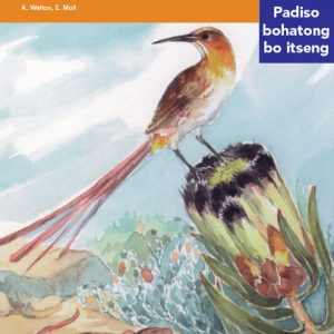 Via Afrika Sesotho Home Language Intermediate Phase Graded Reader 22 Dipalesa tsa diphinkhushini di kotsing