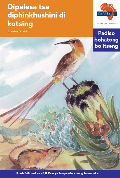 Via Afrika Sesotho Home Language Intermediate Phase Graded Reader 22 Dipalesa tsa diphinkhushini di kotsing