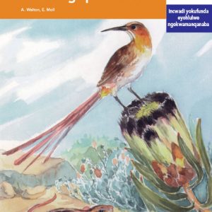 Via Afrika isiXhosa Home Language Intermediate Phase Graded Reader 22 Iiphinkhushini ezisemngciphekweni