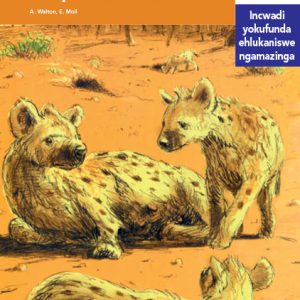 Via Afrika isiZulu Home Language Intermediate Phase Graded Reader 24 Izimangaliso zomhlaba ezenziwe ngabantu