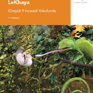 Via Afrika isiNdebele Home Language Grade 9 Reader