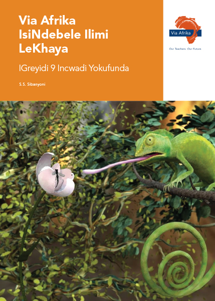 Via Afrika isiNdebele Home Language Grade 9 Reader