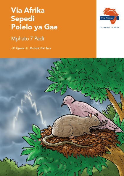 Via Afrika Sepedi Home Language Grade 7 Reader