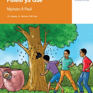 Via Afrika Sepedi Home Language Grade 8 Reader