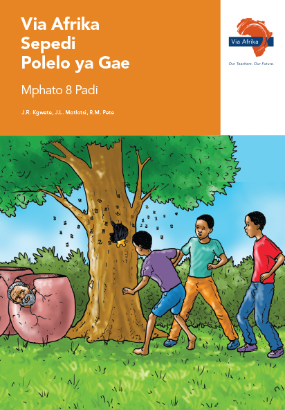 Via Afrika Sepedi Home Language Grade 8 Reader