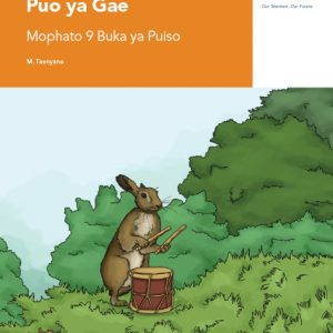 Via Afrika Setswana Home Language Grade 9 Reader