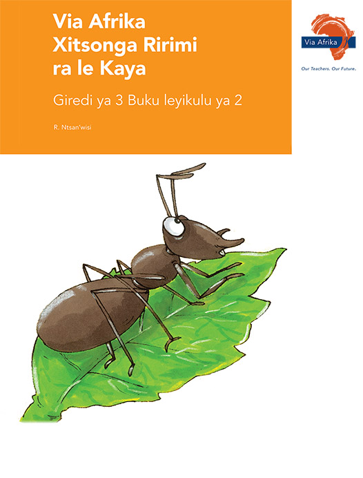 Via Afrika Xitsonga Home Language Grade 3 Big Book 2