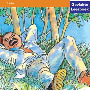 Via Afrika Intermediêre Fase Gevlakte Leesboek 1: Die man wat altyd lui was