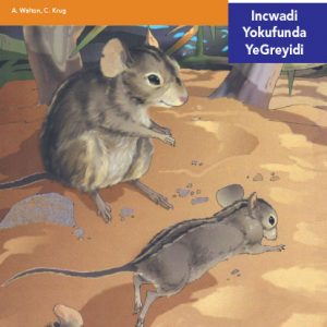 Via Afrika isiNdebele Home Language Intermediate Phase Graded Reader 11 Untongomani nebululu