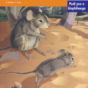 Via Afrika Sepedi Home Language Intermediate Phase Graded Reader 11 Letokomane le Marabe