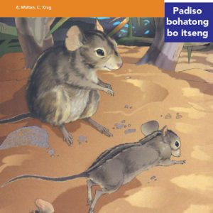 Via Afrika Sesotho Home Language Intermediate Phase Graded Reader 11 Molahlehi le marabe