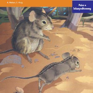 Via Afrika Setswana Home Language Intermediate Phase Graded Reader 11 Paledi le lebolobolo