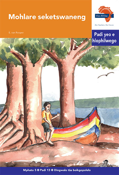 Via Afrika Sepedi Home Language Intermediate Phase Graded Reader 13 Mohlare seketswaneng