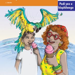 Via Afrika Sepedi Home Language Intermediate Phase Graded Reader 2 Bohlale Monareng le selo se bohlokwa sa sephiri