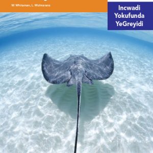 Via Afrika isiNdebele Home Language Intermediate Phase Graded Reader 21 Iinwlana zelwandle nezemoyeni