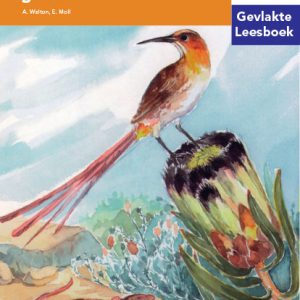 Via Afrika Intermediêre Fase Gevlakte Leesboek 22: Speldekussings in gevaar!