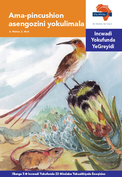 Via Afrika isiNdebele Home Language Intermediate Phase Graded Reader 22 Ama-pincushion asengozini yokulimala