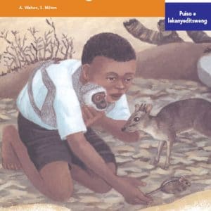 Via Afrika Setswana Home Language Intermediate Phase Graded Reader 28 Takalane le molelo o mogolo thata