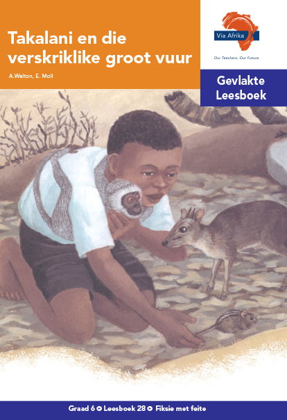 Via Afrika Intermediêre Fase Gevlakte Leesboek 28: Takalani en die verskriklike groot vuur