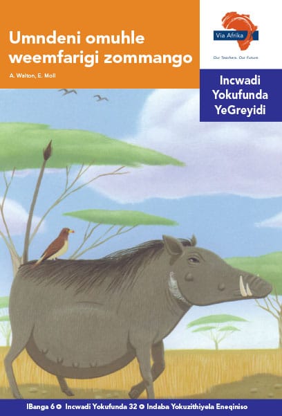 Via Afrika isiNdebele Home Language Intermediate Phase Graded Reader 32 Umndeni omuhle weemfarigi zommango
