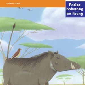 Via Afrika Sesotho Home Language Intermediate Phase Graded Reader 32 Lelapa le letle la dikolobemoru