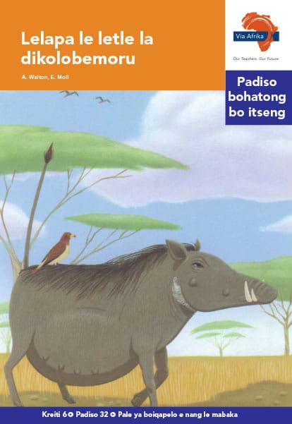 Via Afrika Sesotho Home Language Intermediate Phase Graded Reader 32 Lelapa le letle la dikolobemoru