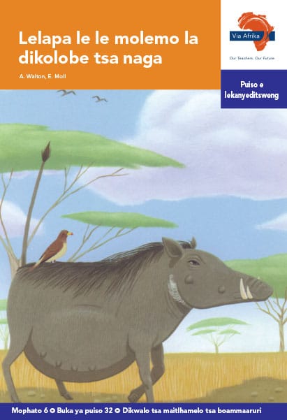 Via Afrika Setswana Home Language Intermediate Phase Graded Reader 32 Lelapa le le molemo la dikolobe tsa naga