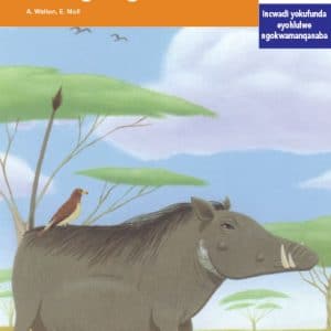 Via Afrika isiXhosa Home Language Intermediate Phase Graded Reader 32 Usapho olulungileyo lweengxangu