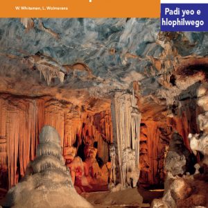 Via Afrika Sepedi Home Language Intermediate Phase Graded Reader 36 Go ralala le Afrika Borwa ka Bophara