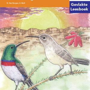 Via Afrika Intermediêre Fase Gevlakte Leesboek 5: Sara se noue ontkoming