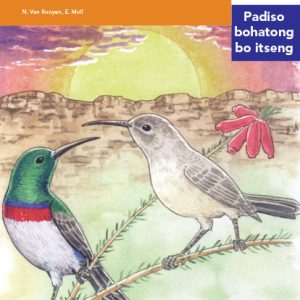 Via Afrika Sesotho Home Language Intermediate Phase Graded Reader 5 Dineo a phonyoha ka lesoba la nale