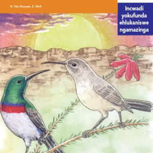 Via Afrika isiZulu Home Language Intermediate Phase Graded Reader 5 Ukuphunyuka kukaZama