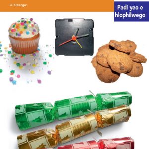 Via Afrika Sepedi Home Language Intermediate Phase Graded Reader 6 Ka fao o ka dirago dilo