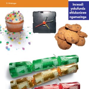 Via Afrika isiZulu Home Language Intermediate Phase Graded Reader 6 Izindlela zokwenza izinto