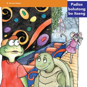 Via Afrika Sesotho Home Language Intermediate Phase Graded Reader 7 Bobby Senqanqane