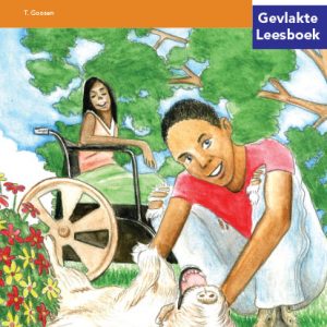 Via Afrika Intermediêre Fase Gevlakte Leesboek 8: Liefde is nie lelik nie