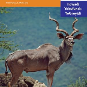 Via Afrika isiNdebele Home Language Intermediate Phase Graded Reader 9 Iinlwana zaphasi