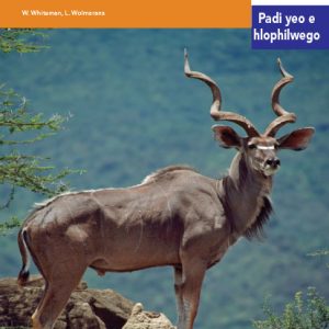 Via Afrika Sepedi Home Language Intermediate Phase Graded Reader 9 Diphoofolo tša Lešoka