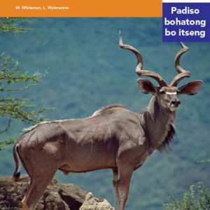 Via Afrika Sesotho Home Language Intermediate Phase Graded Reader 9 Diphoofolo tsa Naha