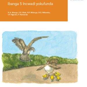 Via Afrika isiZulu Home Language Grade 5 Reader