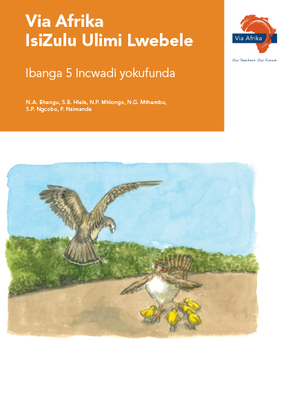 Via Afrika isiZulu Home Language Grade 5 Reader