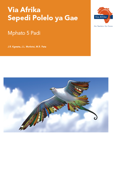 Via Afrika Sepedi Home Language Grade 5 Reader