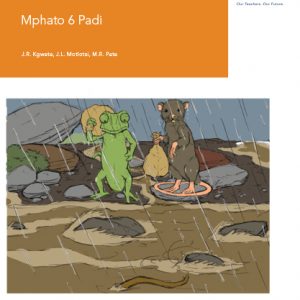 Via Afrika Sepedi Home Language Grade 6 Reader